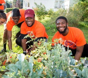 Students working in a garden